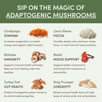 MUSHROOM MATCHA, Lions mane, Cordyceps, King trumpet, Shiitake, Reishi